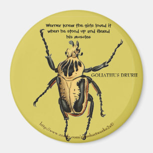 Aimant "Werner a fléchi ses muscles pour les filles"