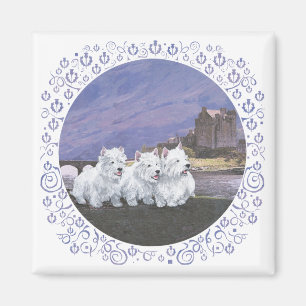 Aimant Westies en Écosse