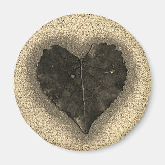 Aimant Wet Heart Shaped Leaf on Sidewalk Photo 