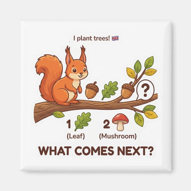 Aimant What Comes Next? Red Squirrel UK Pattern Logic  (Devant)