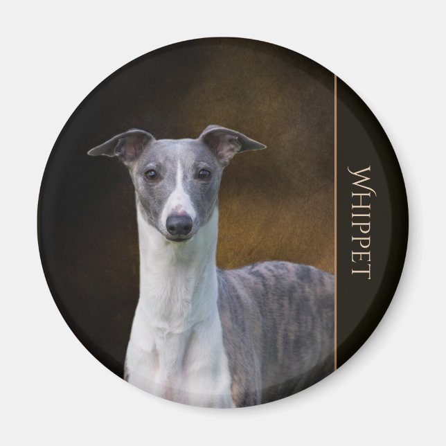 Aimant Whippet (Devant)
