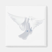 White Dove in Flight Image
