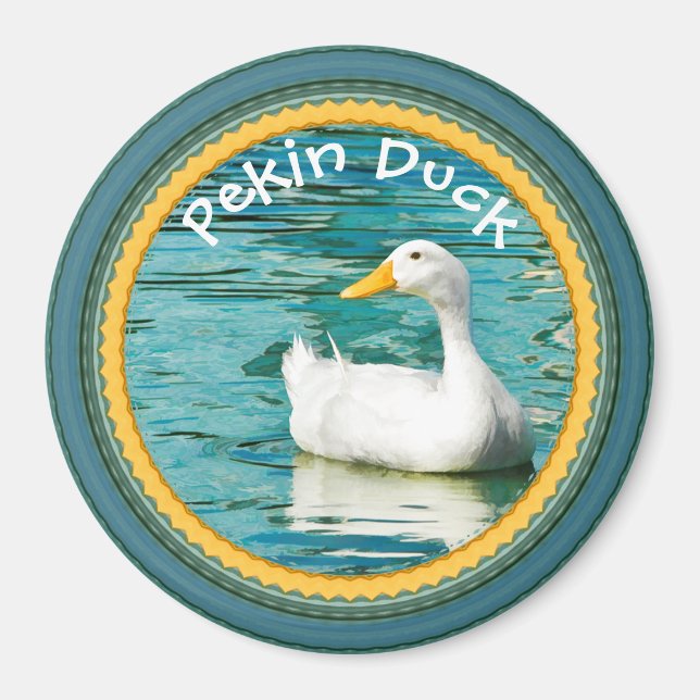 Aimant White Pekin Duck - Nature Photographie Urban Lake (Devant)