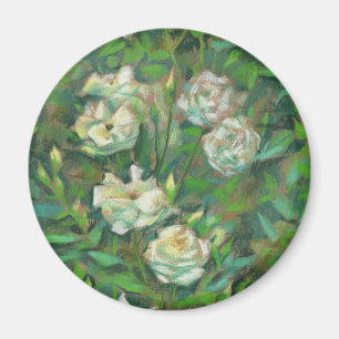 Aimant White roses, green leaves, beautiful flowers