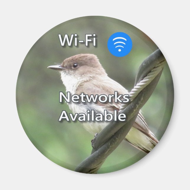 Aimant Wi-Fi Phoebe Est (Devant)
