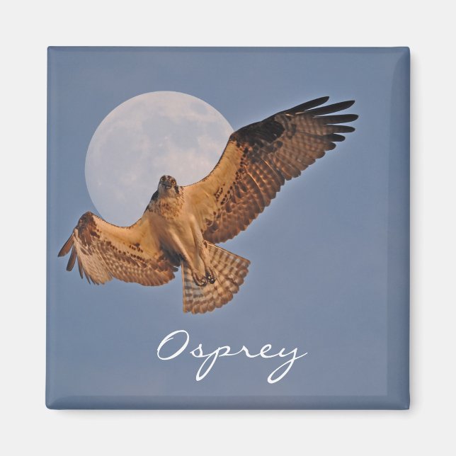 Aimant Wild Osprey & Super Moon Photo Design (Devant)