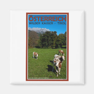 Aimant Wilder Kaiser - Vaches
