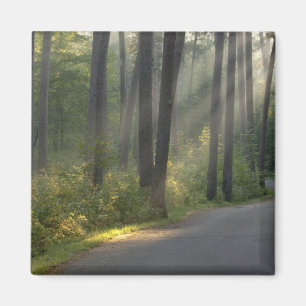 Aimant Wilderness Drive, Parc d'État d'Itasca,