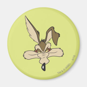 Aimant Wile E. Coyote Agréable Tir À La Tête