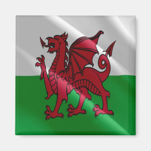 Aimant WLS002 WALES à galets, Frigo