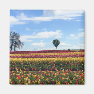 Aimant Wooden Shoe Tulip Farm, Woodburn, Oregon