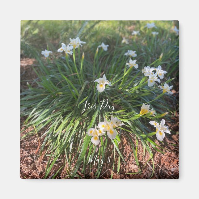 Aimant World2Celebrate : Iris Day (Devant)