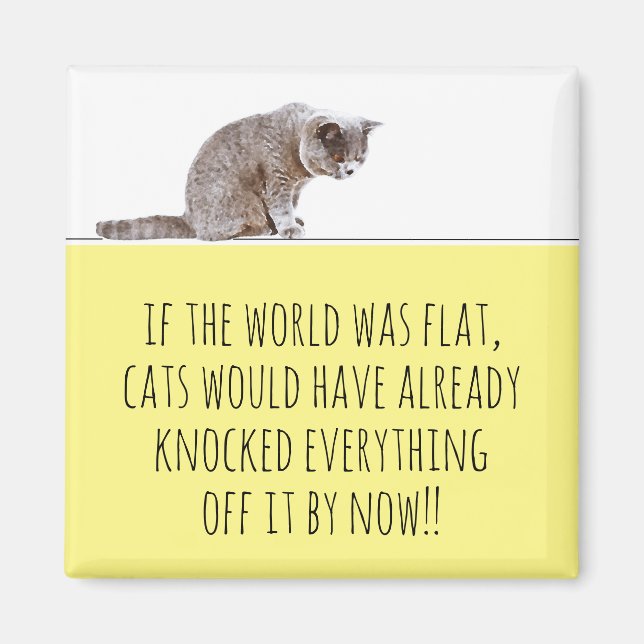Aimant World Flat Cats Frappe Tout Sur Funny Frigo (Devant)