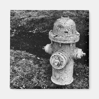 Aimant Worn Chipped Rusty Old Fire Hydrant Photograph