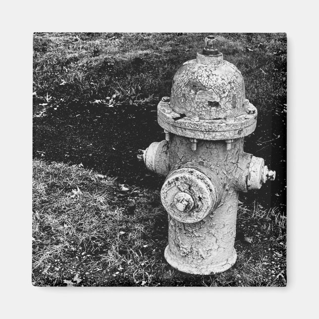 Aimant Worn Chipped Rusty Old Fire Hydrant Photograph (Devant)