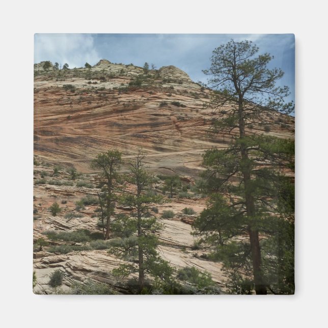 Aimant Worn Rock Walls dans le Parc national de Sion (Devant)