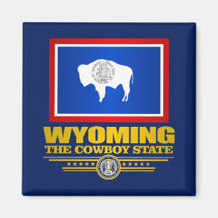 Aimant Wyoming (SP)