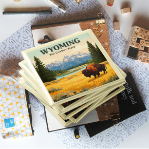 Aimant Wyoming vintage