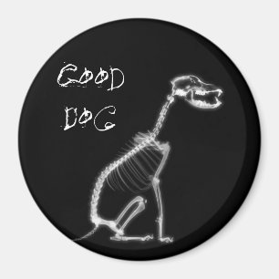 AIMANT X-RAY BON CHIEN SKELETON SITTING - B&W