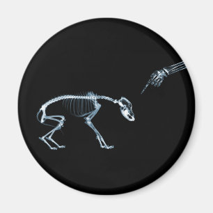 Aimant X-Ray Skeletons Blue Bad Chien