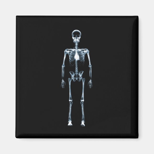 Aimant X-Ray Vision Blue Single Skeleton (Devant)