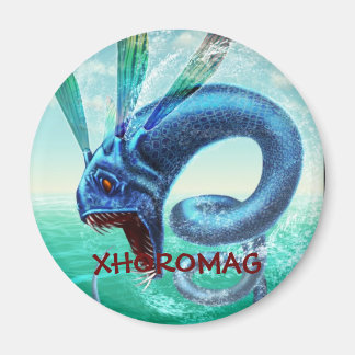 Aimant Xhoromag 10