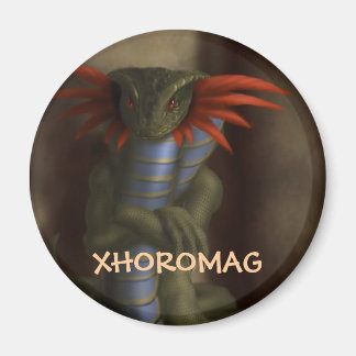Aimant Xhoromag 17