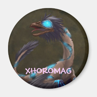 Aimant Xhoromag 19