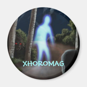 Aimant Xhoromag 2