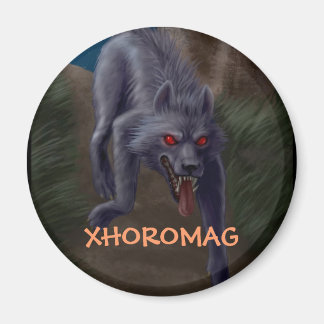 Aimant Xhoromag 4