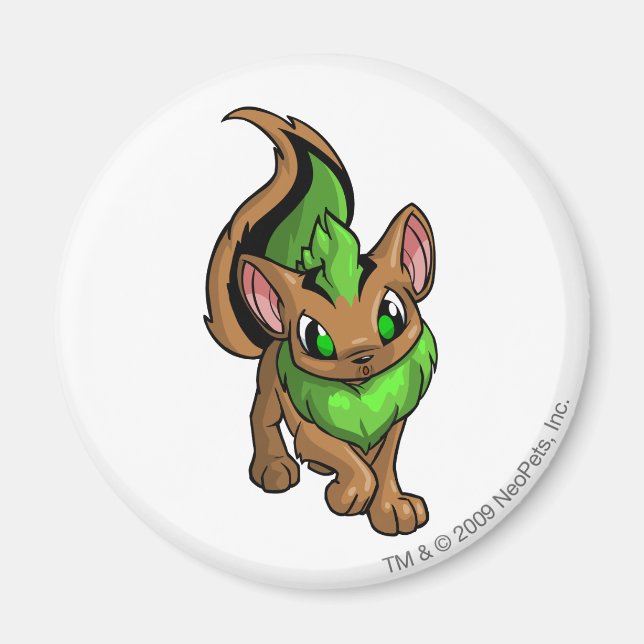 Aimant Xweetok Green (Devant)