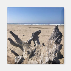 Aimant Yaquina Bay State Recrereation Site, Newport, Oreg