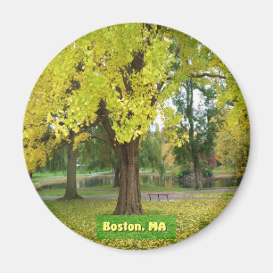 Aimant Yellow Gingko