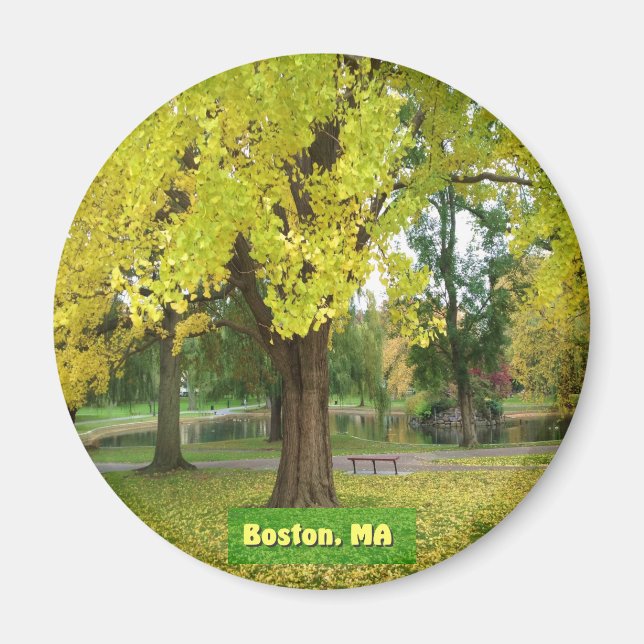 Aimant Yellow Gingko (Devant)