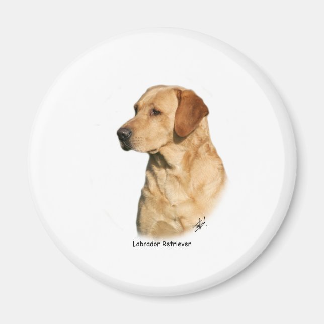 Aimant Yellow Labrador Retriever (Devant)