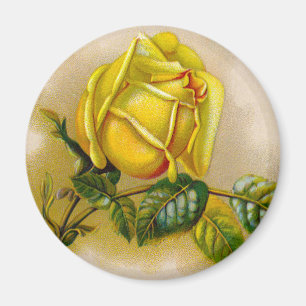 Aimant Yellow Rose Artwork