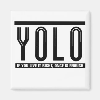 AIMANT YOLO