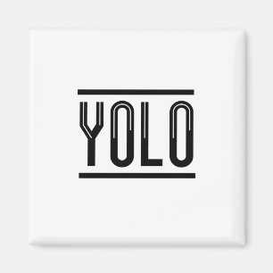 AIMANT YOLO