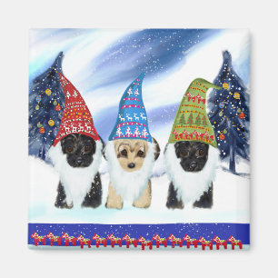 Aimant Yorkie Poo Suède