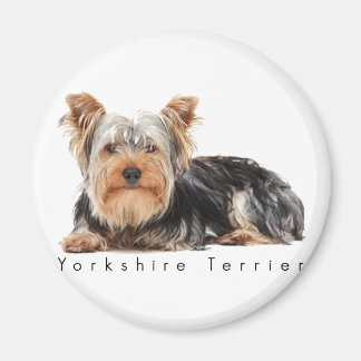 Aimant Yorkshire terrier