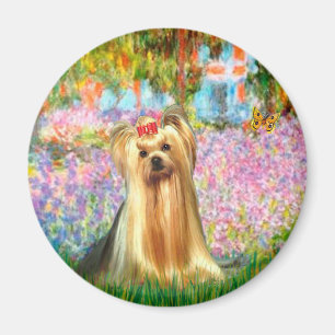 Aimant Yorkshire Terrier 1 - Jardin