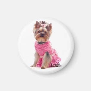 Aimant Yorkshire Terrier Chien coquelicot dans un magasin