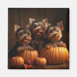 Aimant Yorkshire Terrier chiot Autumn Delight Citrouille
