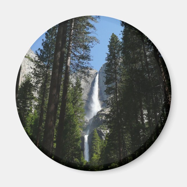 Aimant Yosemite Falls et Woods Paysage Photographie (Devant)