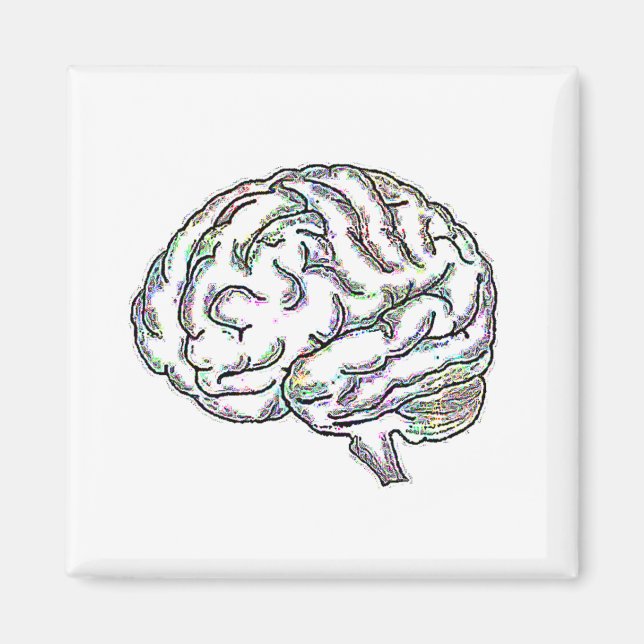 Aimant Zany Brainy (Devant)