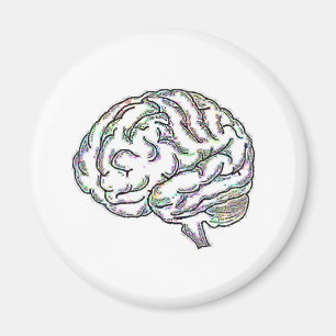 Aimant Zany Brainy