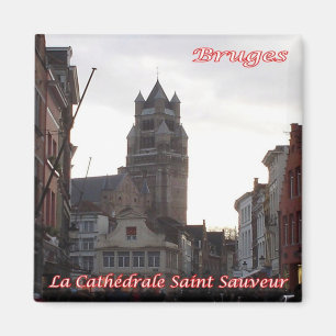 Aimant zBE050 BRUGES Cathédrale Saint-Sauveur, Réfrigérat