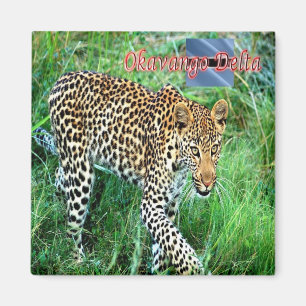 Aimant zBW007 Delta OKAVANGO, Ghepard BOTSWANA, Réfrigéra