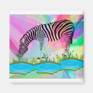 AIMANT ZEBRA 2