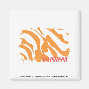 Aimant Zebra Orange 4